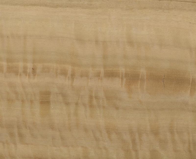 ק.ד פורניר, עץ אקליפטוס צורני, פורניר אקליפטוס צורני טבעי