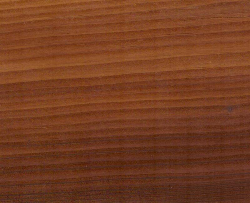 עץ דוגלאס, פורניר דוגלאס עתיק